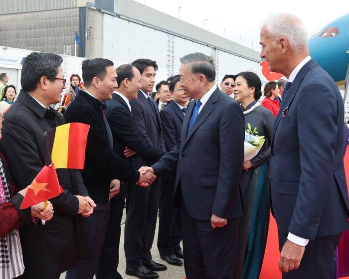 Cán bộ, nhân viên Đại sứ quán và cộng đồng người Việt Nam đón Tổng Bí thư, Chủ tịch nước và phu nhân tại sân bay. Ảnh: TTXVN