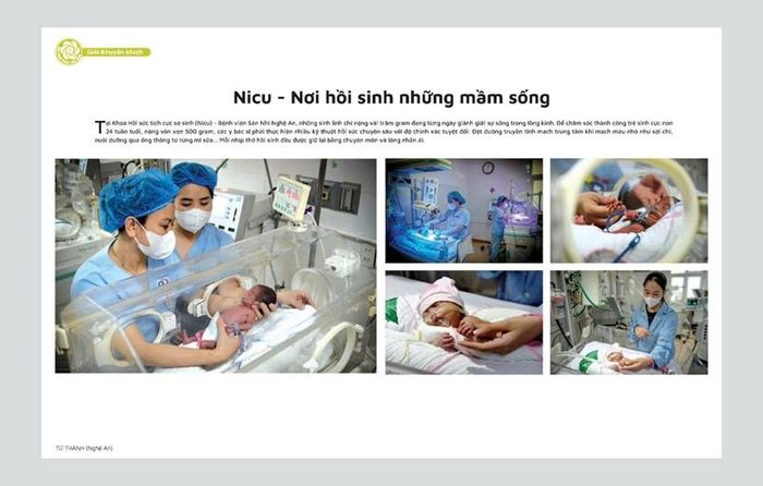 Tác phẩm Nicu- Nơi hồi sinh những mầm sống"- tác giả Từ Thành.