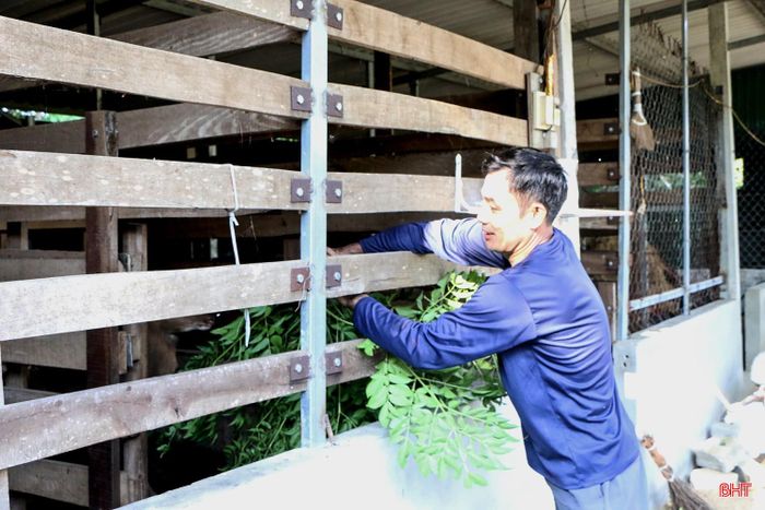 Anh Phạm Văn Thịnh (thôn Đông Tiến) phát triển thêm chăn nuôi hươu.