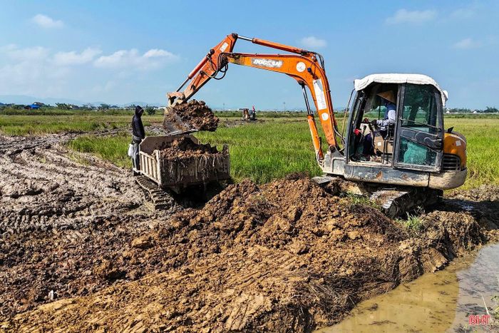 Trên diện tích 100 ha đất nông nghiệp, xã Trường Lưu sẽ triển khai phương án giảm từ 750 thửa xuống còn 316 thửa, phấn đấu ít nhất 75% số hộ chỉ còn 1 thửa ruộng.