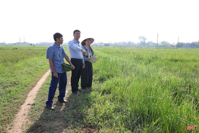 Xã Can Lộc tiến hành quy hoạch lại đồng ruộng theo hướng đồng bộ để phục vụ tốt hơn cho sản xuất nông nghiệp trong giai đoạn tới.