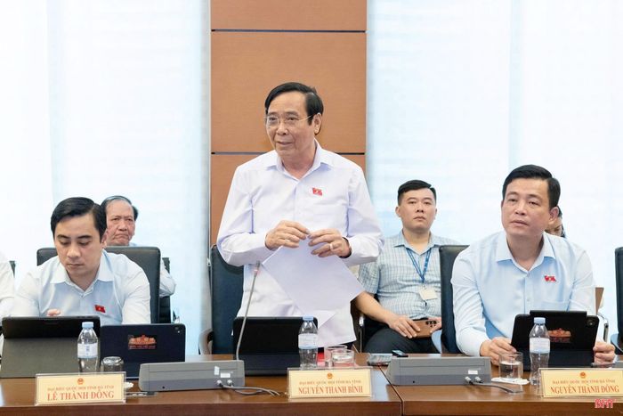 Đại biểu Nguyễn Thanh Bình - Chủ tịch Hội Người cao tuổi Việt Nam (Đoàn ĐBQH tỉnh Hà Tĩnh) phát biểu ý kiến.
