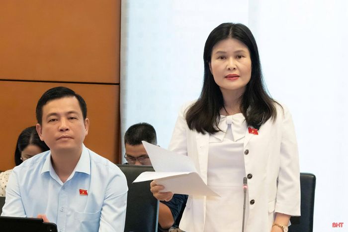 Đại biểu Bùi Thị Quỳnh Thơ - Phó Chủ nhiệm Ủy ban Công tác đại biểu của Quốc hội (Đoàn ĐBQH tỉnh Hà Tĩnh) phát biểu thảo luận.