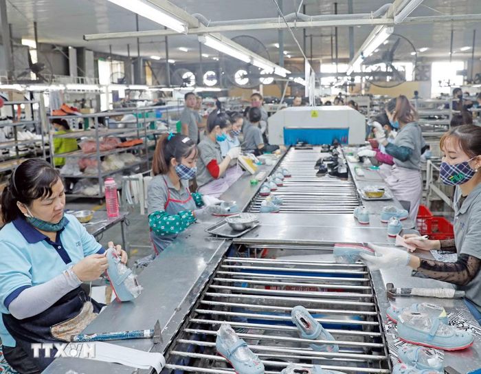 Hiệp định đã phát huy mạnh mẽ hiệu quả, đưa Việt Nam trở thành đối tác thương mại lớn nhất của EU trong ASEAN và EU trở thành đối tác thương mại lớn thứ 4, đồng thời là nhà đầu tư lớn thứ 6 của Việt Nam. (Ảnh: TTXVN)