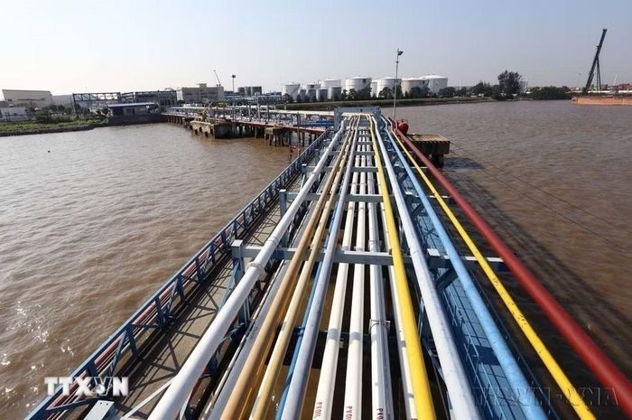 Công ty Cổ phần Rent A Port (Vương quốc Bỉ) đã đầu tư hàng trăm triệu USD để xây dựng hạ tầng khu công nghiệp Đình Vũ (Hải Phòng), từ khu đầm ven biển trở thành khu công nghiệp hoàn thiện đồng bộ. (Ảnh: Danh Lam/TTXVN)