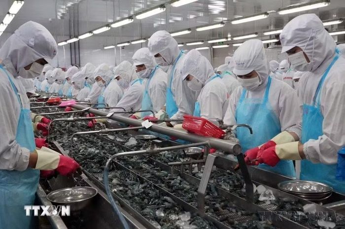 Việt Nam xuất khẩu sang Bỉ nhiều mặt hàng chủ lực, trong đó có giày dép, thiết bị máy tính, hàng dệt may, hàng thủy sản...(Ảnh: Trung Hiếu/TTXVN)