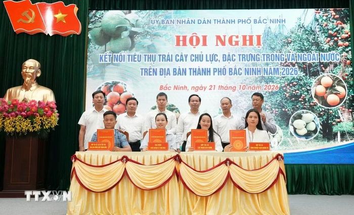Ký kết biên bản thỏa thuận hợp tác tiêu thụ nông sản chủ lực, đặc trưng của thành phố Bắc Ninh năm 2026 giữa các đơn vị sản xuất với các chợ đầu mối. (Ảnh: Đồng Thúy/TTXVN)