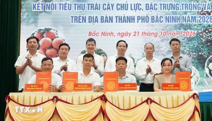Ký kết biên bản thỏa thuận hợp tác tiêu thụ nông sản chủ lực, đặc trưng của thành phố Bắc Ninh năm 2026 giữa các đơn vị sản xuất với hệ thống trung tâm thương mại, siêu thị. (Ảnh: Đồng Thúy/TTXVN)
