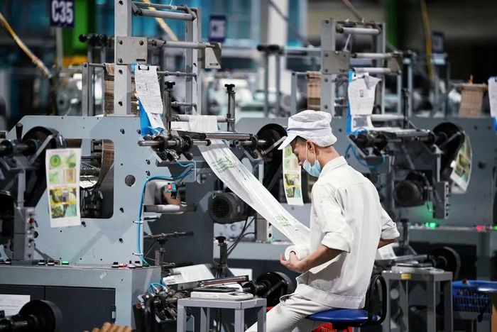 Việc tiếp cận nguồn vốn xanh càng phức tạp hơn nếu doanh nghiệp không xây dựng tư duy "xanh" ngay từ bước khởi đầu. (Ảnh: Vietnam+)