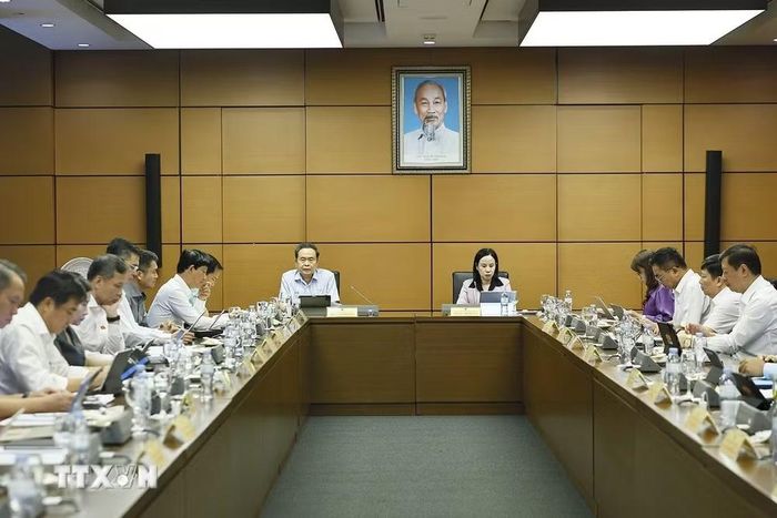 Đoàn đại biểu Quốc hội Thành phố Hồ Chí Minh thảo luận ở tổ. (Ảnh: Doãn Tấn/TTXVN)