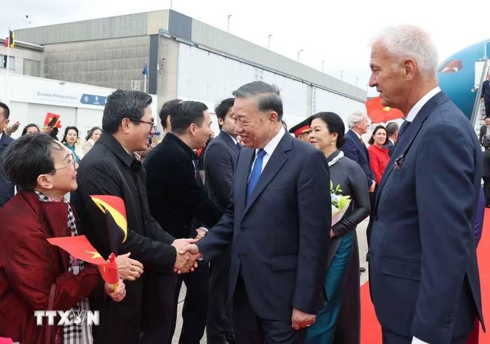 Cán bộ, nhân viên Đại sứ quán và cộng đồng người Việt Nam đón Tổng Bí thư, Chủ tịch nước Tô Lâm và Phu nhân Ngô Phương Ly tại Sân bay quân sự Melsbroek, Brussels. (Ảnh: Thống Nhất/TTXVN)