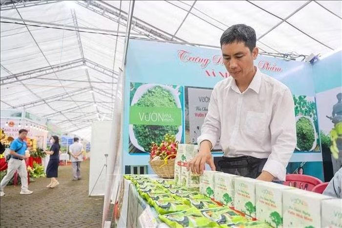 Anh Phạm Ngọc Anh Tuấn, Giám đốc Công ty TNHH Vườn Nhà Minh giới thiệu các sản phẩm được chế biến từ chùm ngây.