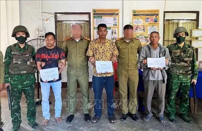 Lực lượng chuyên án đã đấu tranh, bắt giữ 3 đối tượng người Lào có liên quan vụ việc, gồm: A Mày (sinh năm 1962), Thạo A Lăm (sinh năm 1983) và Thạo Đỏ (sinh năm 1981). Ảnh: TTXVN phát