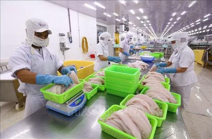 Chế biến thủy sản xuất khẩu tại Công ty TNHH MTV Ấn Độ Dương tại KCN Thốt Nốt (Cần Thơ). Ảnh minh họa: Danh Lam/TTXVN
