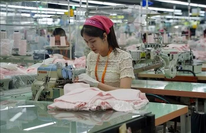 Công nhân làm việc tại Công ty TNHH May Việt Thuận, Khu Công nghiệp Hòa Xá (Ninh Bình).