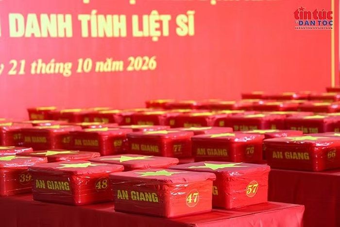 Các thùng chứa mẫu sinh phẩm được đánh số, phân loại phục vụ giám định ADN xác định danh tính liệt sĩ.