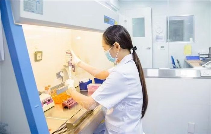 Phó giáo sư, Tiến sĩ, bác sĩ Nguyễn Thị Thu Phương, Trưởng khoa Dược học, Trường Đại học Y Dược Hải Phòng làm việc trong phòng thí nghiệm. Ảnh: Mạnh Minh/TTXVN