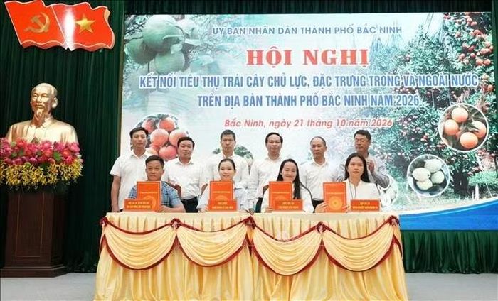 Ký kết biên bản thỏa thuận hợp tác tiêu thụ nông sản chủ lực, đặc trưng của thành phố Bắc Ninh năm 2026 giữa các đơn vị sản xuất với các chợ đầu mối. Ảnh: Đồng Thúy/TTXVN