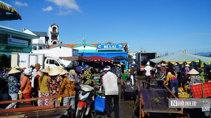 Dòng người thu mua cá đổ về Cảng Phan Thiết rất đông.