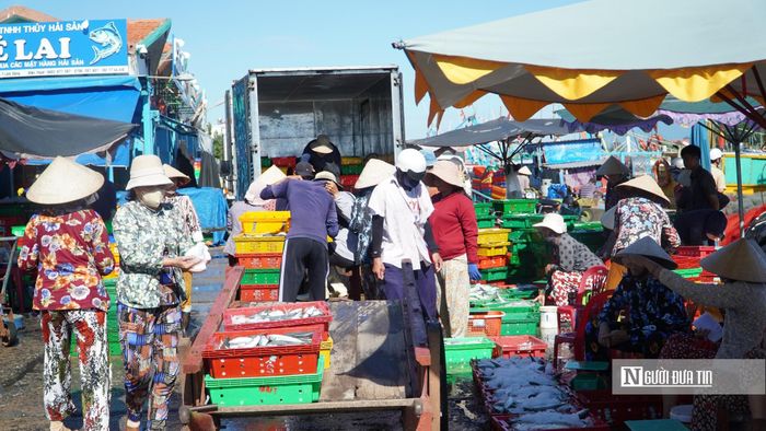 Không khí nhộn nhịp tại Cảng cá Phan Thiết vào ngày 20/10.