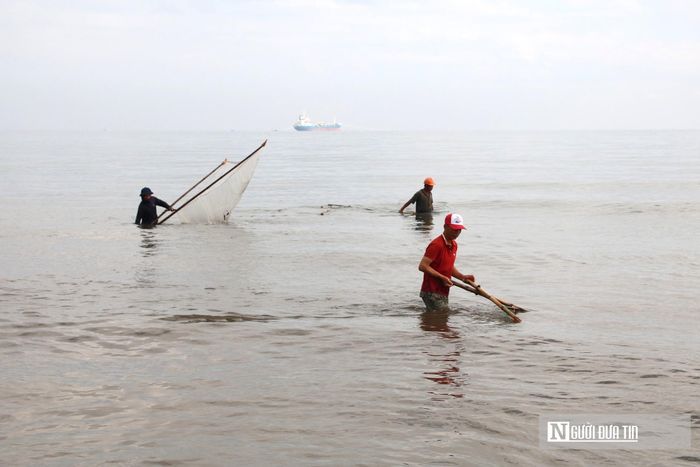 Đi dọc bờ biển Cửa Lò, cứ khoảng 5 đến 10m chúng tôi lại bắt gặp một "thợ săn". Dù mỗi người một góc riêng nhưng không khí chẳng hề cô đơn; họ vừa thoăn thoắt đẩy lưới, vừa trò chuyện rôm rả vang cả một vùng biển.