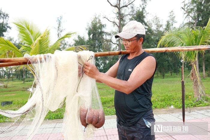 Ông Hoàng Văn Bình, một người đi nhủi tại Cửa Lò cho biết, mỗi ngày ông ra biển từ 5 giờ sáng và lội nước khoảng 3 đến 4 chuyến. Trước khi hạ lưới, ông phải đi dọc bờ để thăm dò, nhận biết vùng có luồng ruốc tập trung. Trung bình mỗi ngày ông thu hoạch được vài yến ruốc tươi, gặp những ngày trúng đậm, sản lượng có thể lên tới 1 đến 2 tạ.