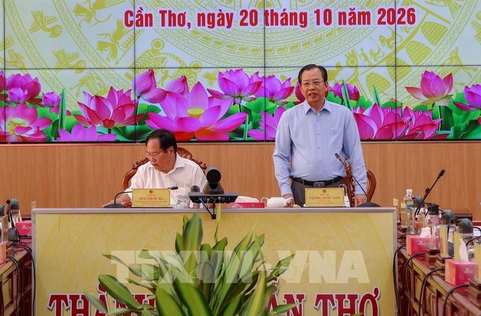 Phó Chủ tịch UBND thành phố Cần Thơ Vương Quốc Nam phát biểu tại buổi làm việc. Ảnh: Thanh Liêm - TTXVN