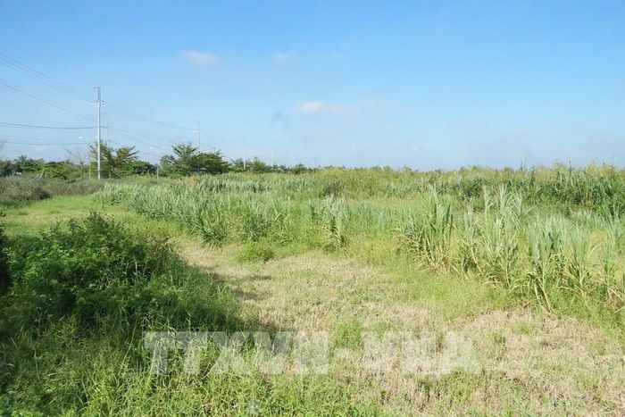 Sau gần 10 năm triển khai, dự án Hạ tầng Khu công nghiệp Tân Kiều, xã Tháp Mười, tỉnh Đồng Tháp vẫn chưa hoàn thiện các hạng mục hạ tầng kỹ thuật Ảnh: Công Trí-TTXVN