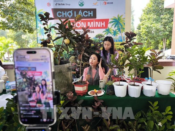 Người dân sản xuất cây giống tham gia livestream tại chương trình. Ảnh: Huỳnh Phúc Hậu - TTXVN