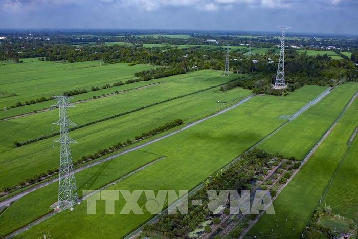 Cần Thơ đang đứng trước cơ hội khai thác tiềm năng năng lượng của địa phương, gắn với lợi thế về sản xuất nông nghiệp, phụ phẩm nông nghiệp và điều kiện tự nhiên. Ảnh: Duy Khương – TTXVN