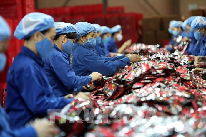 Hoạt động sản xuát tại Công ty cổ phần cà phê hòa tan Trung Nguyên. Ảnh tư liệu: Danh Lam - TTXVN