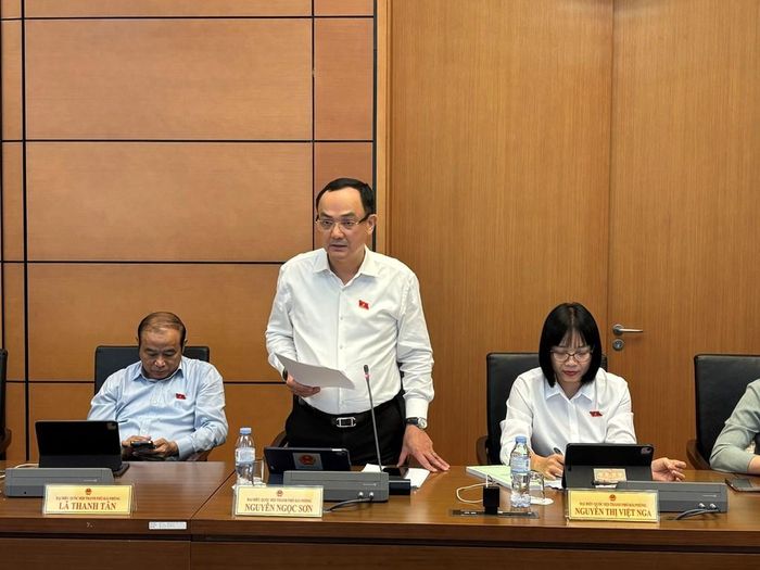 Đại biểu Nguyễn Ngọc Sơn (Đoàn Hải Phòng). Ảnh: Thắng Trung/Bnews/vnanet.vn