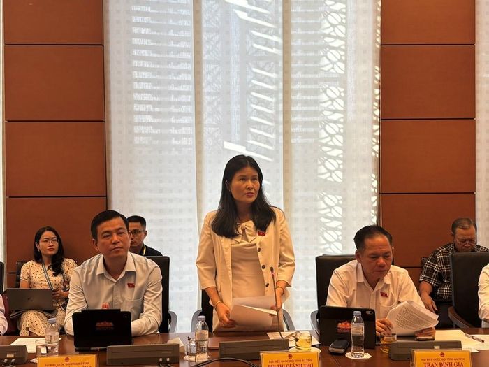 Đại biểu Bùi Thị Quỳnh Thơ (Đoàn Hà Tĩnh). Ảnh: Thắng Trung/Bnews/vnanet.vn
