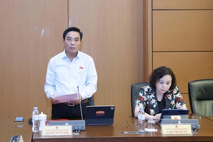 Phó Chủ tịch Quốc hội Nguyễn Doãn Anh phát biểu thảo luận. Ảnh: An Nhiên