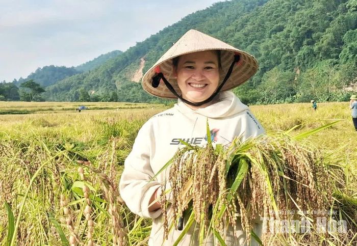 Chị Lữ Thị Thược (SN 1988) ở bản Sại, xã Tam Lư (người trong ảnh) cho biết: “Vụ đầu tiên trồng đã được mùa, gạo Cay Nọi lại đang được giá, chúng tôi mừng lắm. Bà con chúng tôi cảm ơn lãnh đạo xã đã tìm cây trồng và cách làm mới để nâng cao thu nhập. Sang năm tới, gia đình tôi sẽ mở rộng thêm diện tích trồng giống lúa này”.