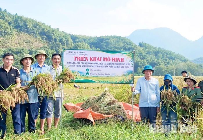 Quá trình thực hiện, xã Tam Lư thường xuyên kiểm tra nắm bắt tình hình sinh trưởng và phát triển của cây lúa. Đồng thời hướng dẫn người dân trồng, chăm sóc cây theo quy trình sản xuất hữu cơ.