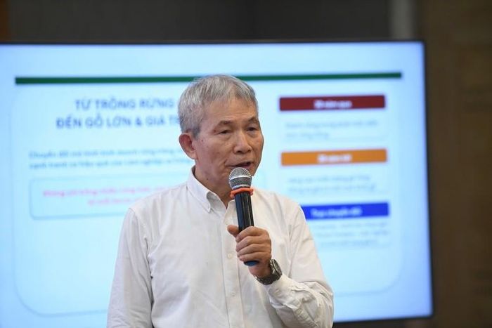 Ông Ngô Sỹ Hoài, Phó Chủ tịch kiêm Tổng Thư ký Hiệp hội Gỗ và Lâm sản Việt Nam. Ảnh: Song Hà.