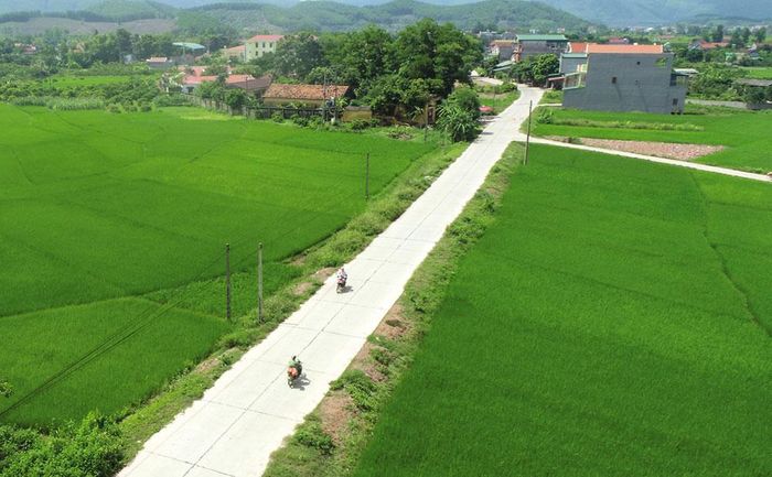 Đường giao thông tại xã Đại Sơn.