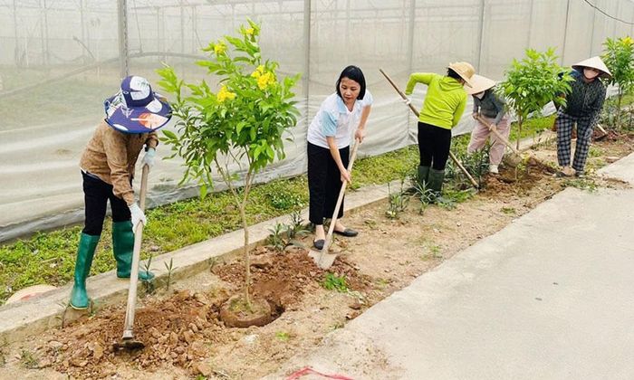  Cán bộ, hội viên phụ nữ phường Cảnh Thụy trồng, chăm sóc cây xanh tại công trình "Đường hoa phụ nữ". 