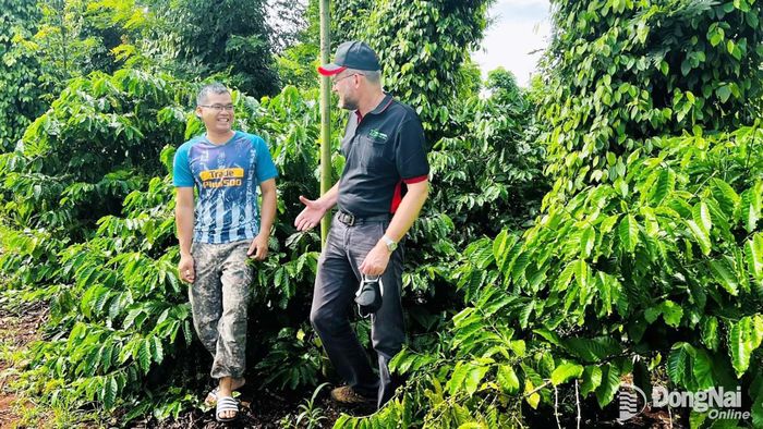 Chương trình Agripreneurship-Nescafé Plan giúp cải thiện sinh kế, trang bị những kiến thức khoa học về canh tác cà phê bền vững cho nông dân.