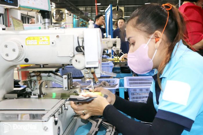 Sản xuất giày tại Công ty TNHH Chang Shin Việt Nam (Khu công nghiệp Thạnh Phú, phường Tân Triều).