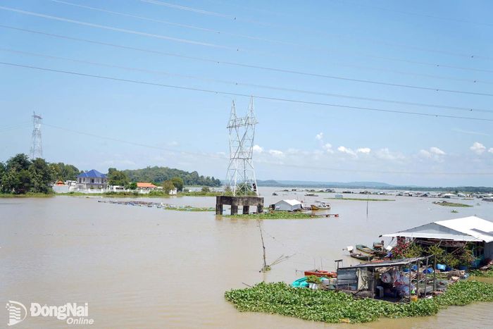 Cần đề phòng khả năng mưa lớn kết hợp với lũ gây ngập lụt, sạt lở bờ sông, suối, các khu vực trũng thấp. Ảnh minh họa: Lê Duy