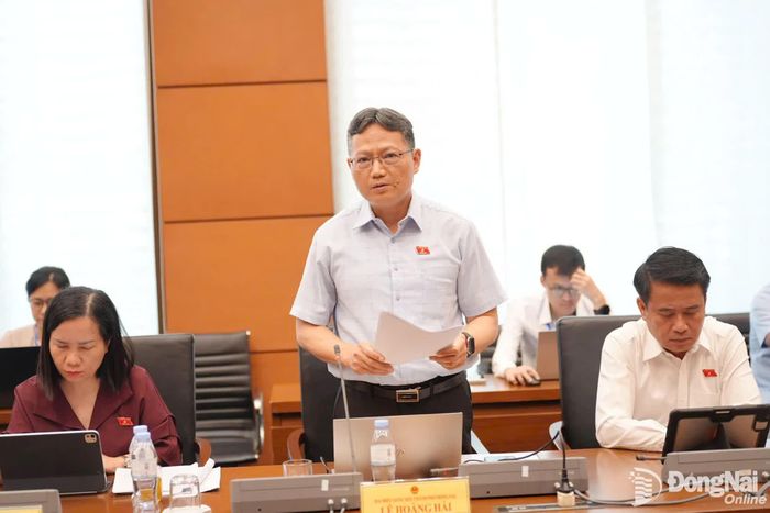 Đại biểu Lê Hoàng Hải (Đoàn Đại biểu Quốc hội thành phố Đồng Nai) phát biểu tại phiên thảo luận tổ ngày 21-10. Ảnh: CTV