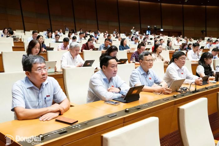 Đoàn Đại biểu Quốc hội thành phố Đồng Nai họp phiên toàn thể tại hội trường sáng 21-10. Ảnh: CTV