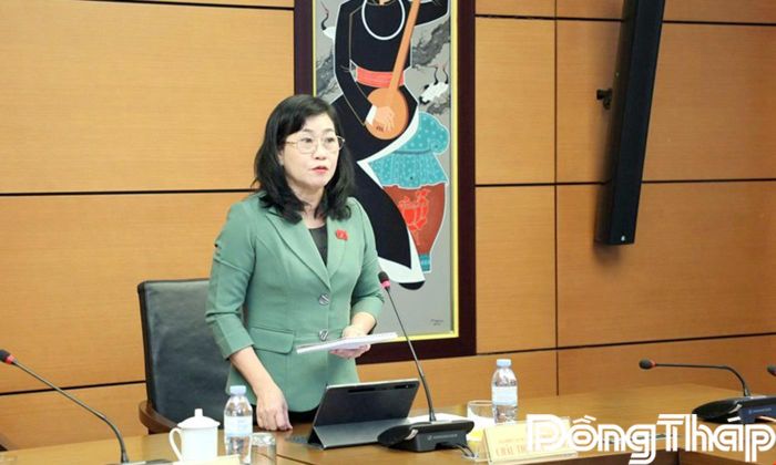 Đồng chí Châu Thị Mỹ Phương, Phó Bí thư Tỉnh ủy, Trưởng đoàn Đại biểu Quốc hội tỉnh Đồng Tháp, phát biểu tại phiên thảo luận Tổ.