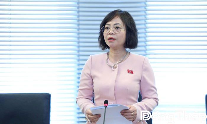 Đại biểu Nguyễn Thanh Cầm phát biểu thảo luận.