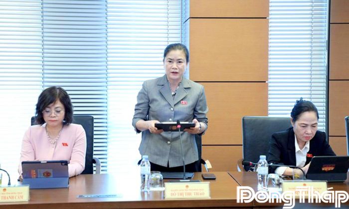 Đại biểu Đỗ Thị Thu Thảo phát biểu thảo luận.