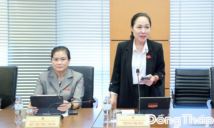 Đại biểu Trịnh Thị Mùi phát biểu thảo luận.