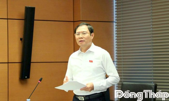 Đại biểu Nguyễn Tân Cương phát biểu thảo luận.