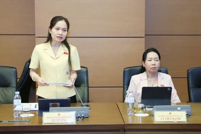  Phó Trưởng đoàn chuyên trách Đoàn ĐBQH tỉnh Gia Lai Siu Hương đề nghị rà soát quy định về chủ thể ký kết và nguyên tắc ký kết thỏa thuận quốc tế. Ảnh: Đoàn ĐBQH tỉnh Gia Lai 